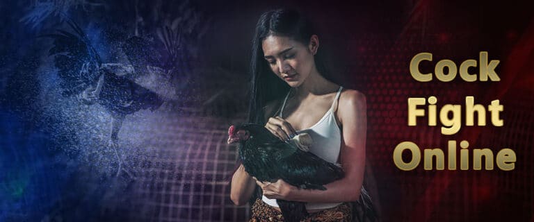 Cock fight online
