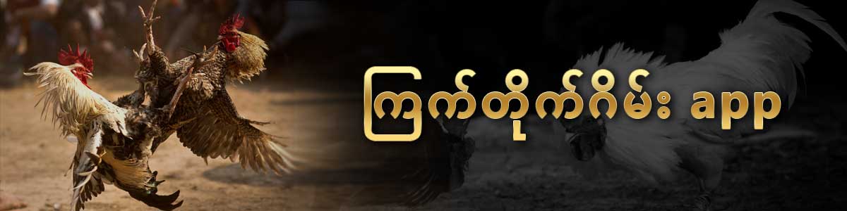 ကြက်တိုက်ဂိမ်း app
